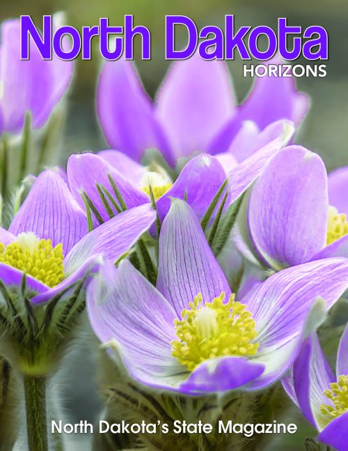 RENEW 1-Year Subscription to ND Horizons Magazine (United States) <br> <br>$28